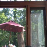 qilin - 自然光の下で読書