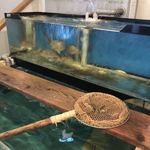 割烹 丸一 - 座敷側の水槽、レジ側の水槽にはイカさん不在でした。