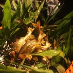 べにや無何有 - 