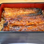 炭焼うなぎ 加茂 - 鰻一尾分