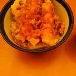 Tendon Tenya - 