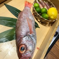 のどぐろ専門 銀座 中俣 - 