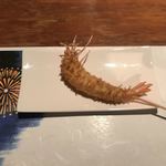 ステラ - 車海老