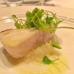 ピアッティ カステリーナ - 