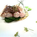 レフェルヴェソンス - イサキ