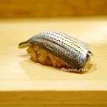 鮨 なんば - 小肌