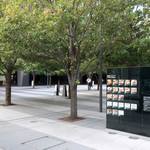 WEE BEE'S - 立木の中に店舗のご案内