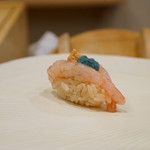 Sushi Juubee - 甘海老