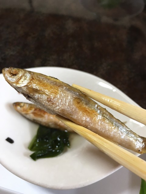 あやめ荘 近江八幡 魚介料理 海鮮料理 食べログ