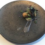 レミニセンス - 鮎