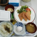 日本交通 - ７月某日のＡ定食：ハムカツ　上空から