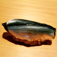 鮨 さかい - 青春のコハダ