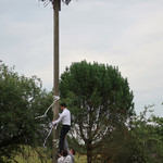 WEE BEE'S - まさかの木登り by 新郎