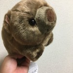 鮓 きずな - なにくろ氏が当日、五月山公園に行って買って来てくれましたー！(お店の内容とは関係ありません)