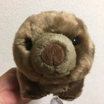 鮓 きずな - ありがとー！(お店の内容とは関係ありません)