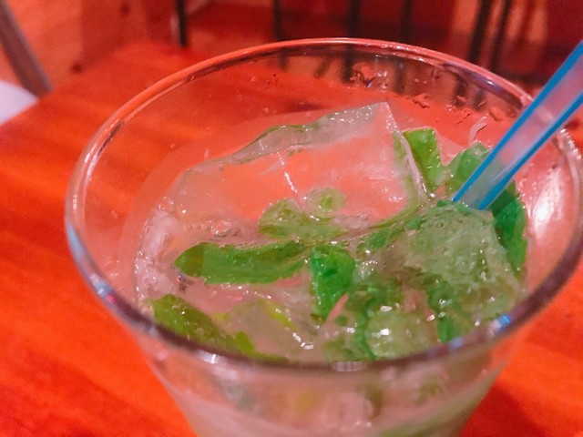 Pelican Jidai photo 2