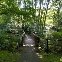 フレグラント - 