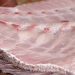 うを徳 - 六百四十匁（≒2.4kg）明石鯛（あかしだひ）の鳴門瘤（なるとこぶ）