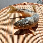 茶禅華 - 五粮香魚（鮎の白酒揚げ）
