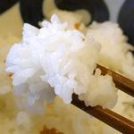 まさ竜 - 当然ながらふっくらと炊かれたご飯がメチャ進んであっという間に完食！ごちそうさまでした！