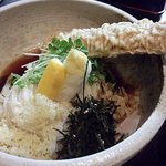 讃岐うどん白庵 - とり玉天ぶっかけ （￥800）　（'11.5）