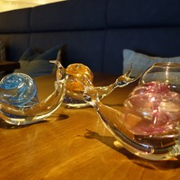 biodinamico - 