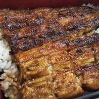 川越 いちのや - うな重菊