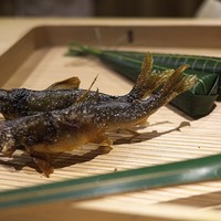 富小路 やま岸 - 鮎とちまき。ちまきは昆布締めにした鯛に木の芽を巻いて。