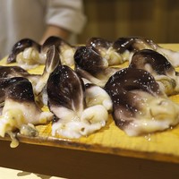 富小路 やま岸 - 今年初の七尾のとり貝。身は想像を超えた肉厚！