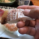 ひら田 - 真鯛の皮霜