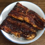 鰻丼（並）