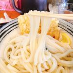 Udommatsumoto - 麺のアップです。（2018.8 byジプシーくん）