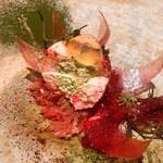 ル スプートニク - 