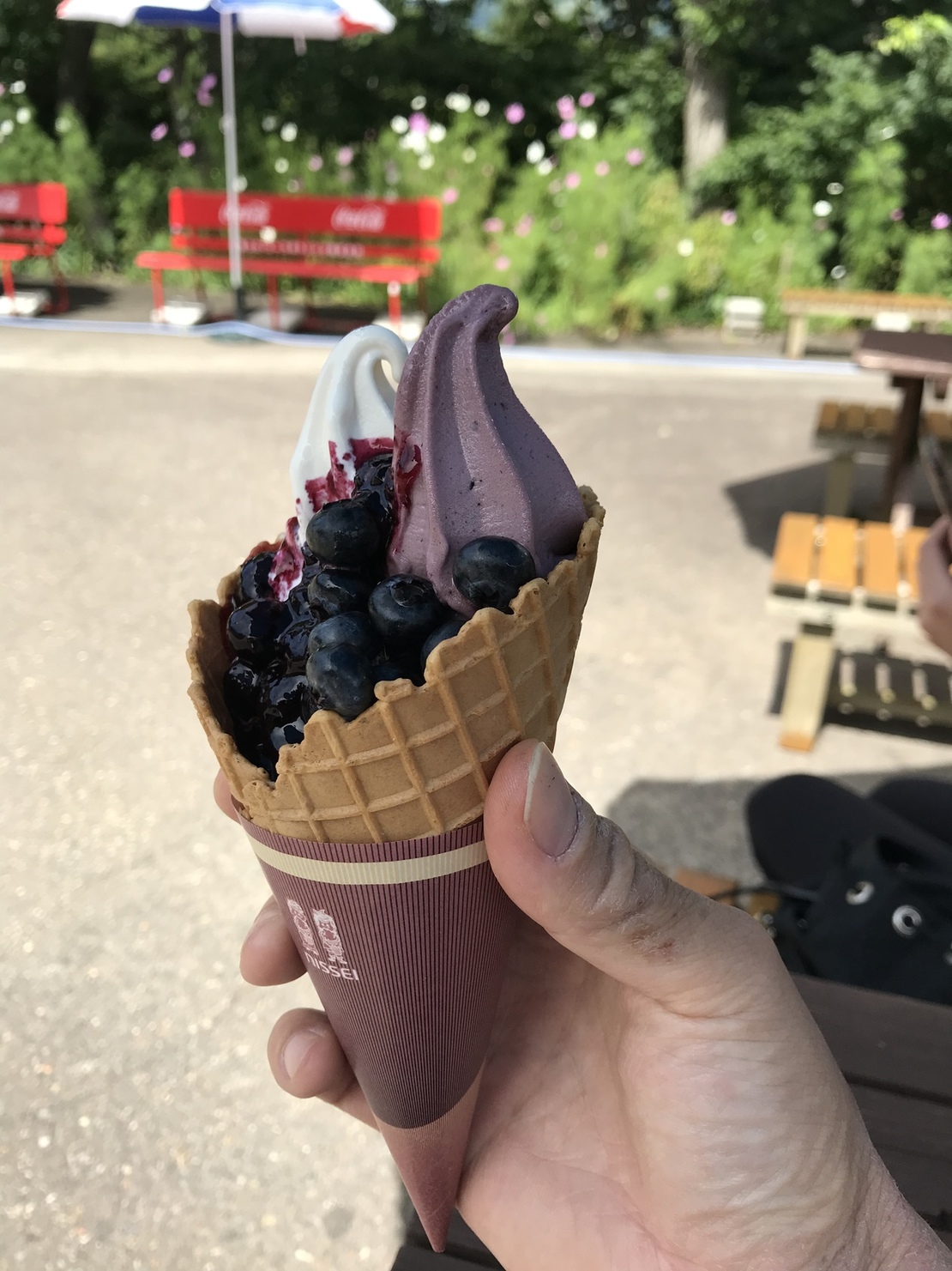 ブルーベリー園まつき name=
