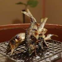 松川 - 