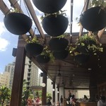 Hideout at the Laylow - 