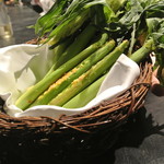 フロリレージュ - ヤングコーン１