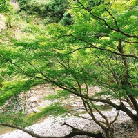高雄 錦水亭 - 