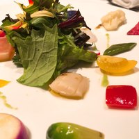 OTTO SETTE - 