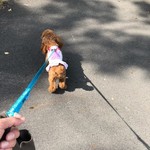 ごはんや金沢 - 