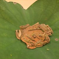 霞庭 まつばら - 