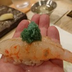 鮨西光 - ボタン海老