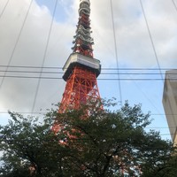 タワシタ - 
