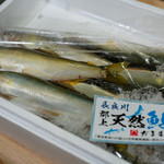 うを徳 - 2018.8 長良川郡上天然鮎