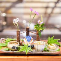 Kakyo 花鏡  - 蛸、水菜、独活の粒マスタードと芥子酢味噌和え 海老と芋茎と新蓮根の胡麻和え、カシューナッツ、シャキッと 蟹とオクラの蟹酢和え、蟹味噌 鯛の子の煮凝り、花山椒