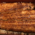 鰻はし本 - 鹿児島 伊崎田の鰻重