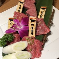 松阪牛　田じま - 赤身の極め ウチモモ シンシン ロース フィレ イチボ