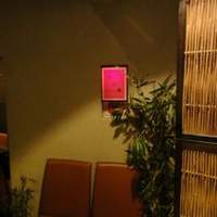 銀座 竹の庵 5丁目本店 - 