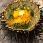 あま木 - 師崎産キタムラサキウニ