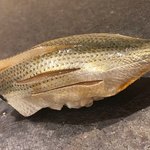 あま木 - こはだ